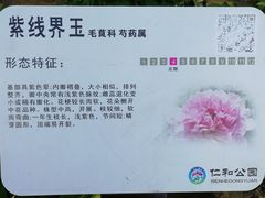 -仁和公园(顺义区)