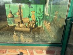 -秦皇岛野生动物园
