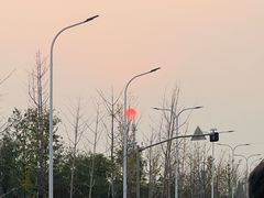 -上海滨江森林公园