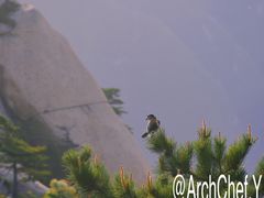 -华山风景名胜区