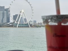 -金鸡湖桃花岛