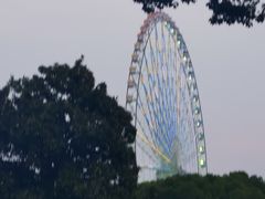 -君来湖滨饭店·玫瑰园