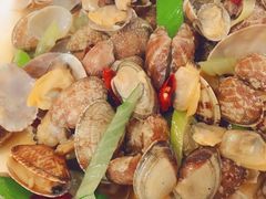 辣炒花蚬-望海潮海鲜店 特色家常菜(在海一方店)