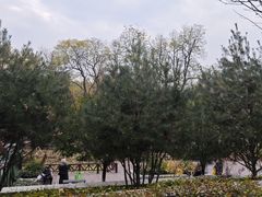 -莲湖公园
