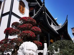 -上海皇廷花园酒店·西餐厅·自助餐
