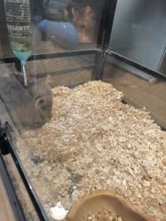 点击看大图 -宝燕乐园(闵行旗舰店)