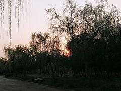 -蜀冈西峰生态公园