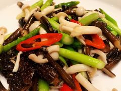 羊肚菌时令炒素-上海小南国(世博源店)