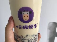 -一只酸奶牛(奎星楼店)