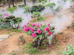 -北京西山国家森林公园