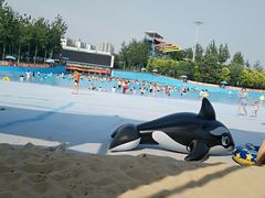 -欢乐水魔方水世界