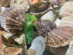 -三个渔夫·蒸汽海鲜(小白楼店)