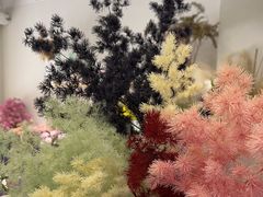 -花生FM_FLOWERS