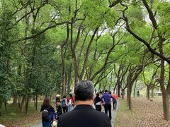 -华南国家植物园-售票处