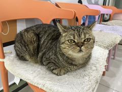 -纳吉亚猫专科动物医院博雅分院