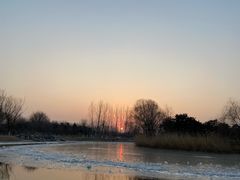 -大兴滨河森林公园