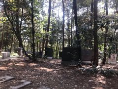 -铁山坪森林公园