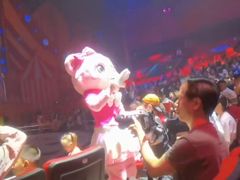 -珠海横琴长隆《卡卡虎奇遇记》