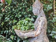 -天芳悦潭度假村温泉