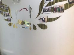 点击看大图 -丽美妍医疗美容·皮秒·立体分层抗衰