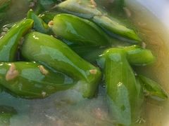 白油丝瓜-松云泽