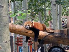 -北京野生动物园