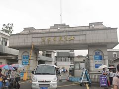-长洲岛