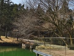 -溪口商量岗景区