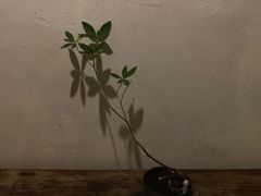 -花迹(富春江东街店)
