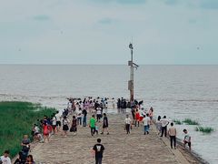 -南汇嘴观海公园