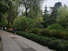 -柳浪闻莺公园
