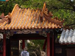 -高尔山公园
