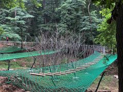 -鲁山国家森林公园