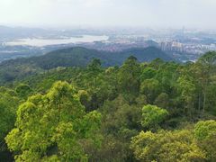 -水濂山森林公园