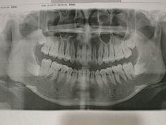 -同济大学附属口腔医院