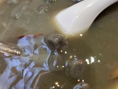 鸡屎藤-胡仕光陵水酸粉