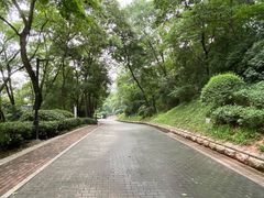 -北极阁公园