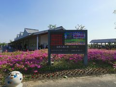 -嘉北郊野公园