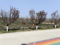 -兴芮温泉度假区