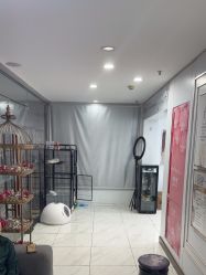 -镁连社·美联社