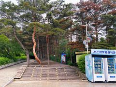 -帽儿山国家森林公园