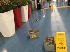 -重庆江北国际机场-T2航站楼