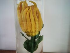 -广西壮族自治区药用植物园
