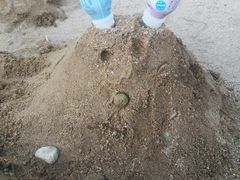 -济南国际园博园