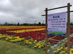 -中国天府农业博览园