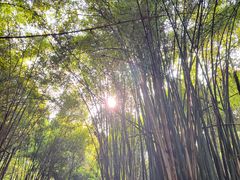 -青城两河漂流