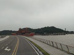 -野狸岛
