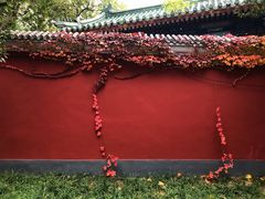 -国家图书馆·古籍馆