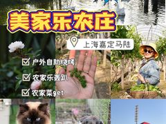 -美家乐农庄·露营·团建(大治路店)