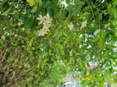 -花溪飞碗牛肉粉(先烈路店)